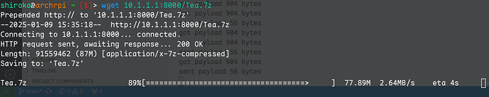 dnstunnel-wget-speed