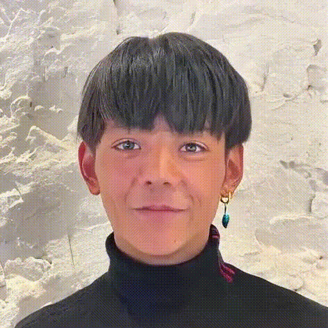output_video_with_audio 1.gif